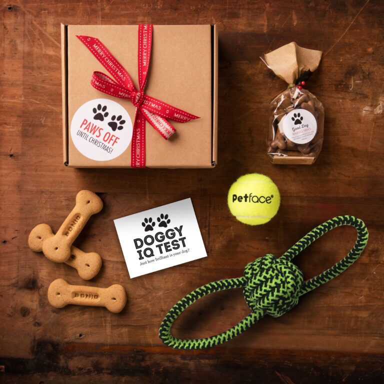 Best Gifts for Dogs on Festivals