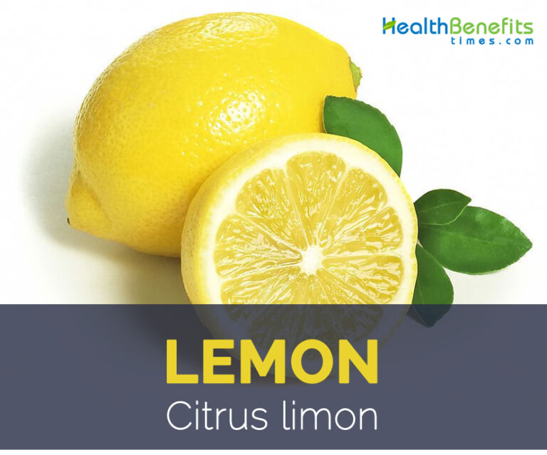 Lemons: How They Benefit Your Health